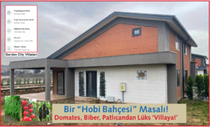 Bir “Hobi Bahçesi” Masalı: Domates, Biber, Patlıcandan Lüks ‘Villaya!’ (Özgür Özel’in katılımı ile Bölüm 3-4)